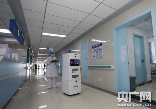 科研團隊要攥緊拳頭張開巴掌——記中國工程院院士、合肥工業大學教授楊善林的網絡工程之道